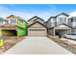 1216 13 Ave NW Aster