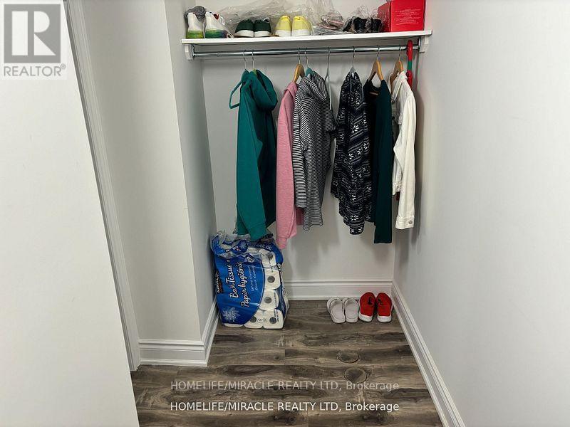 Bsmt - 8 Robert Parkinson Drive, Brampton, Ontario  L7A 0Y3 - Photo 24 - W12458300