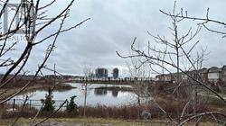 Bsmt - 8 Robert Parkinson Drive, Brampton, Ontario  L7A 0Y3 - Photo 4 - W12458300