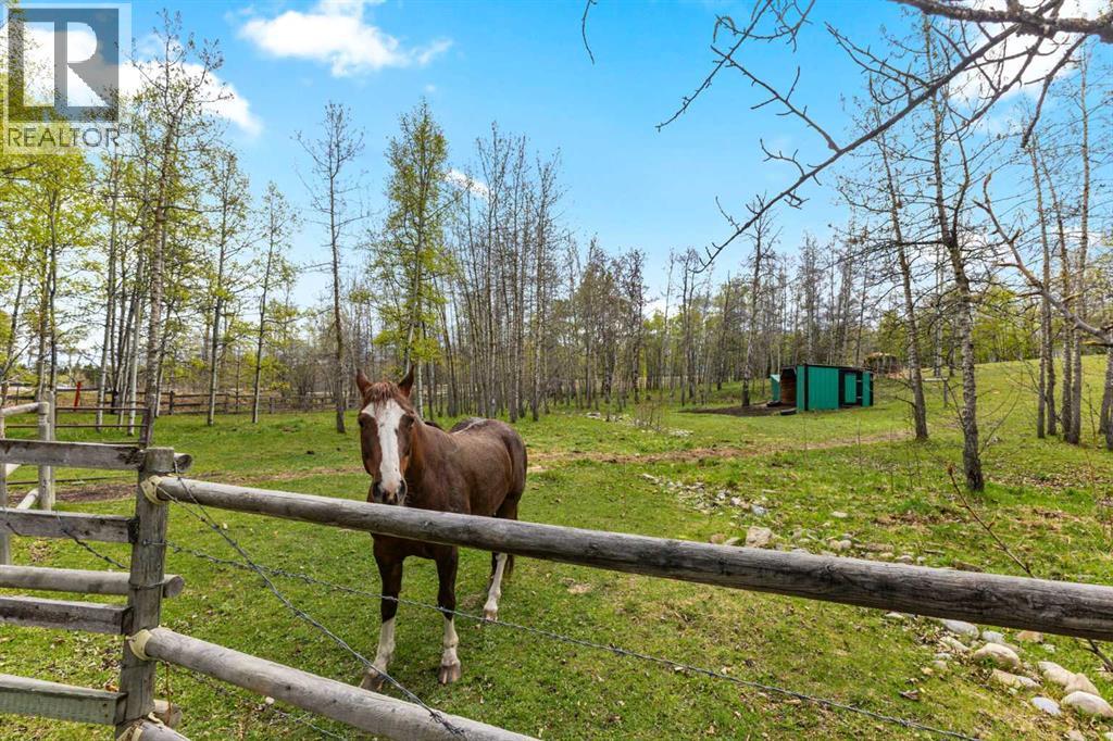 288017 160 Avenue W, Rural Foothills County, Alberta  T0L 1W2 - Photo 45 - A2221603