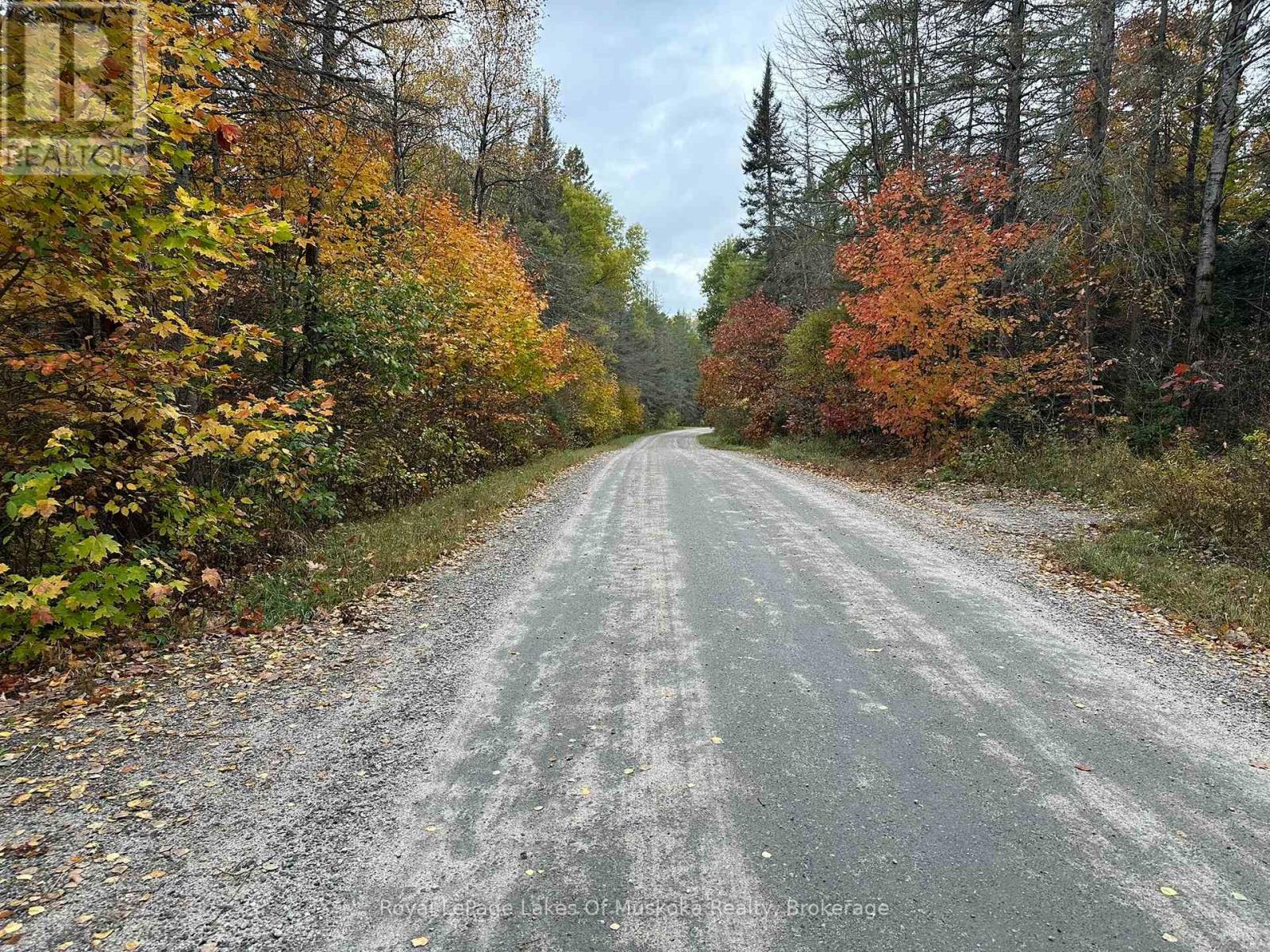 77 Grindstone Road, Magnetawan, Ontario  P0A 1Z0 - Photo 8 - X12458398