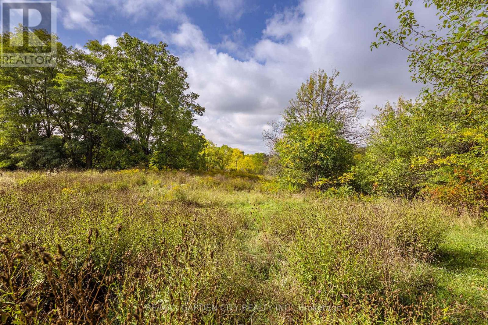 2432 Seburn Road, Thorold, Ontario  L0S 1E6 - Photo 41 - X12458445