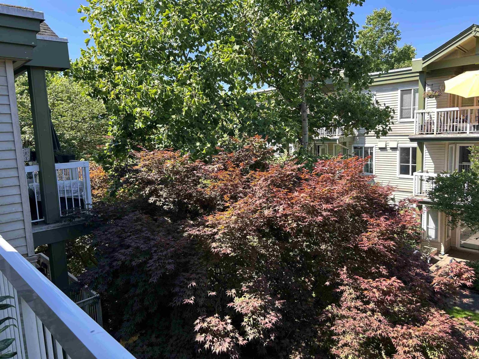 304 10665 139 Street, Surrey, British Columbia  V3T 4L8 - Photo 17 - R3055651