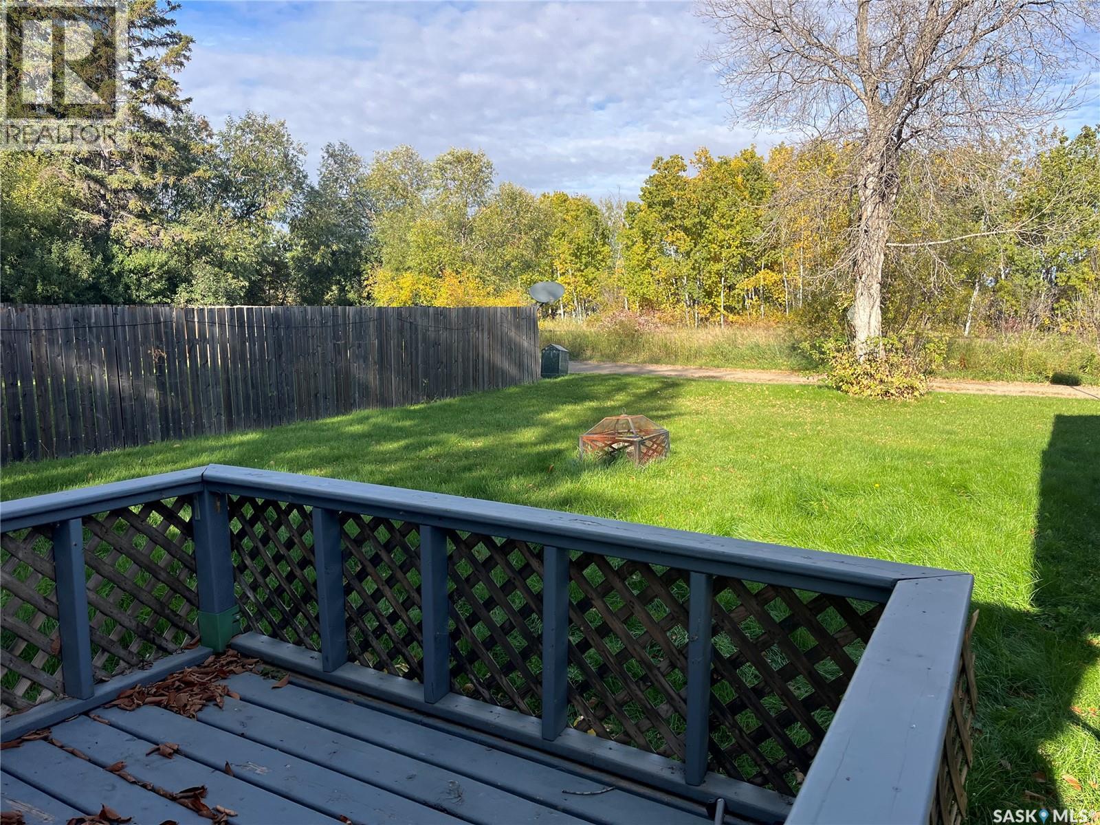 58 Horkoff Avenue, Wadena, Saskatchewan  S0A 4J0 - Photo 5 - SK020648