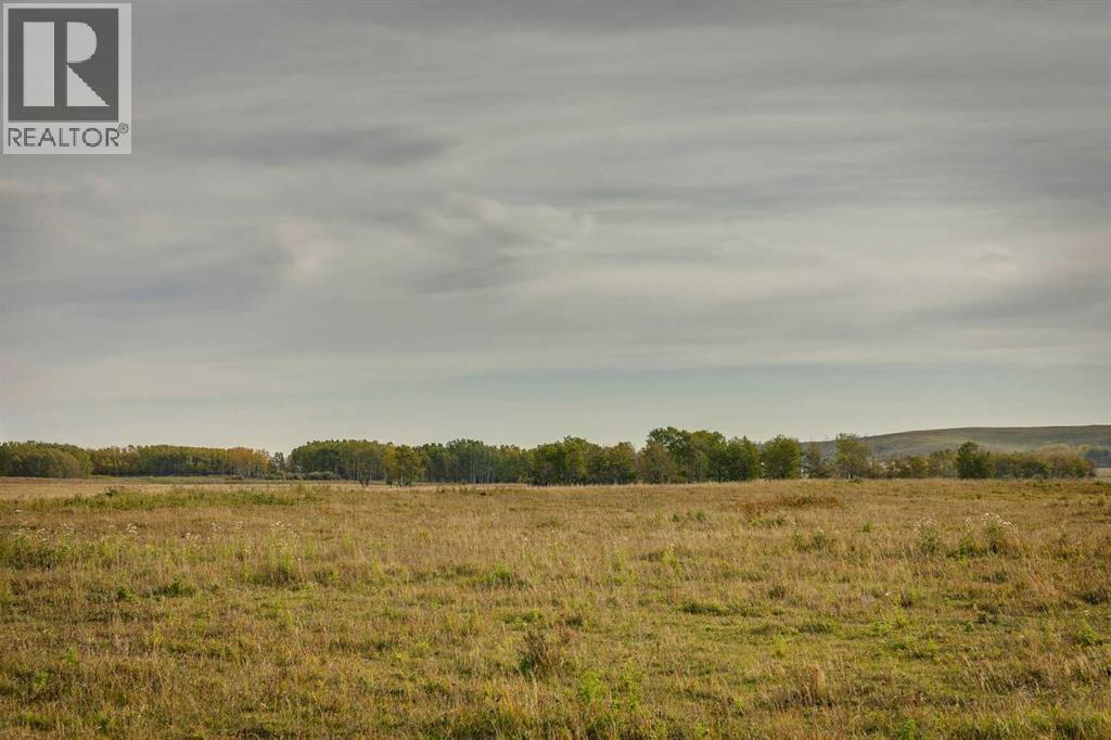 192 St And 450 Ave W, Rural Foothills County, Alberta  T1S 1V3 - Photo 4 - A2263618