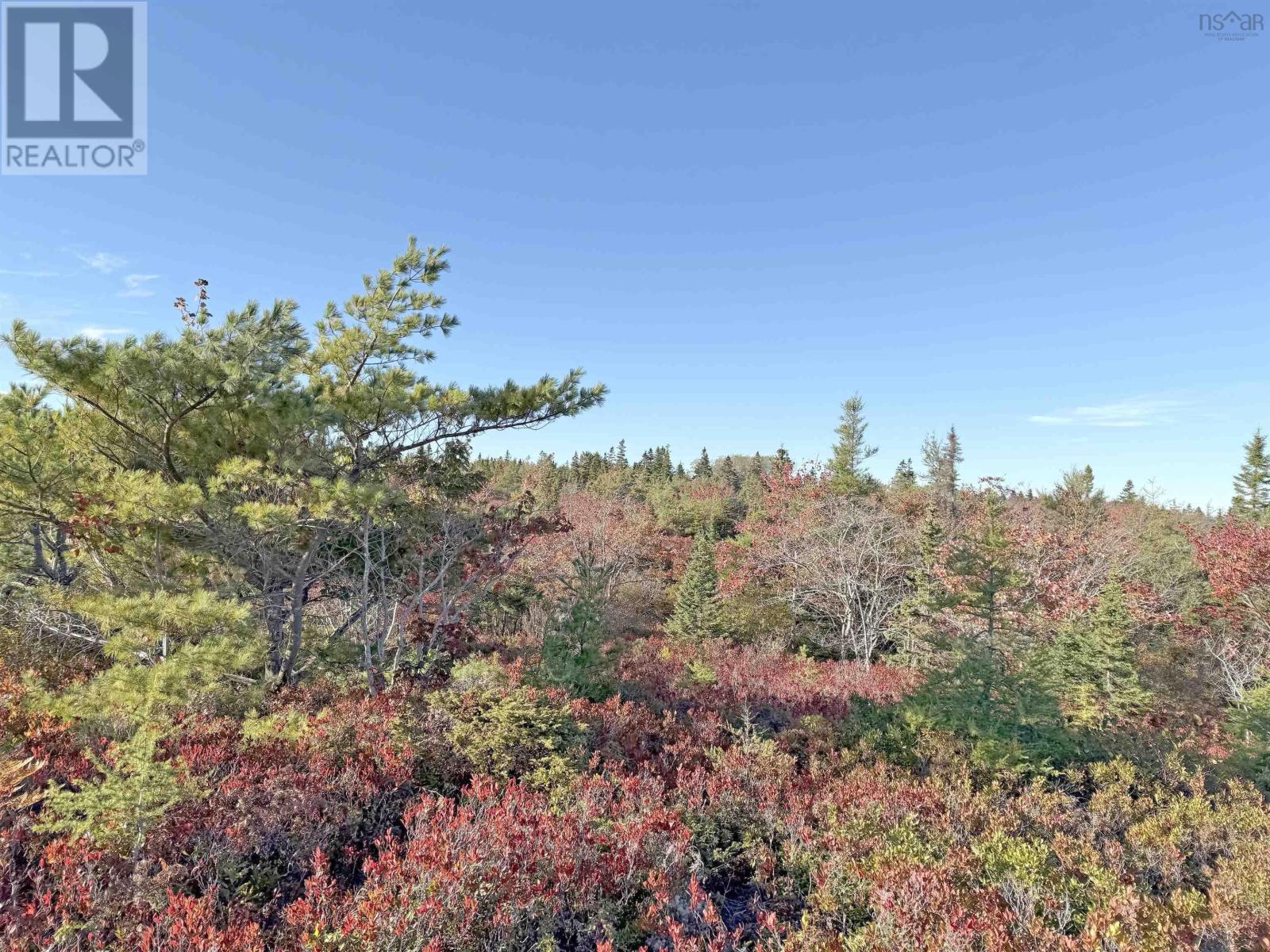 104-1 Long Cove Road, Port Medway, Nova Scotia  B0J 2T0 - Photo 8 - 202525670