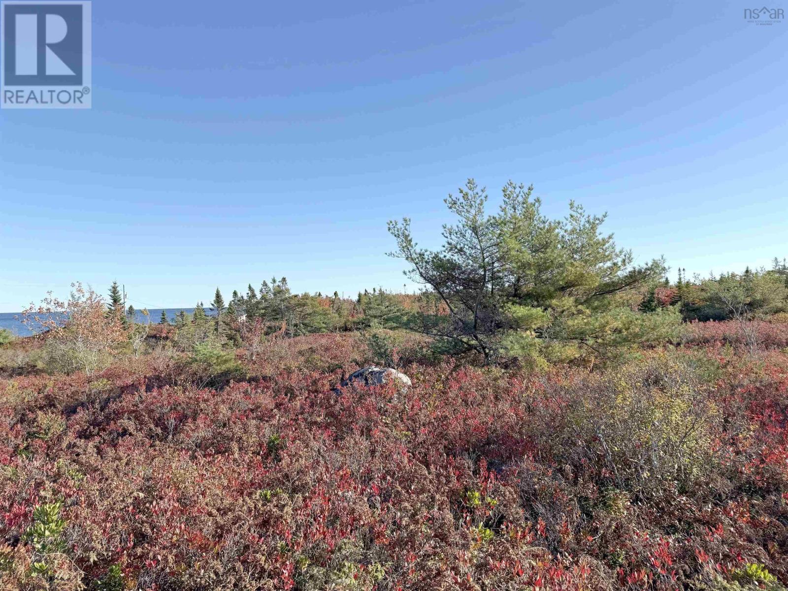104-1 Long Cove Road, Port Medway, Nova Scotia  B0J 2T0 - Photo 9 - 202525670
