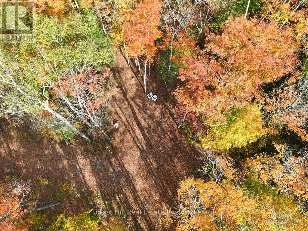 4488 Kawagama Lake Road, Algonquin Highlands (Sherborne), Ontario  P0A 1E0 - Photo 1 - X12458715