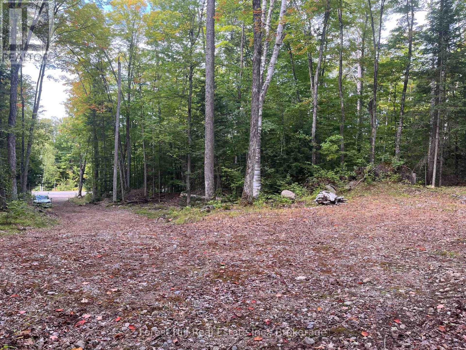 4488 Kawagama Lake Road, Algonquin Highlands (Sherborne), Ontario  P0A 1E0 - Photo 10 - X12458715