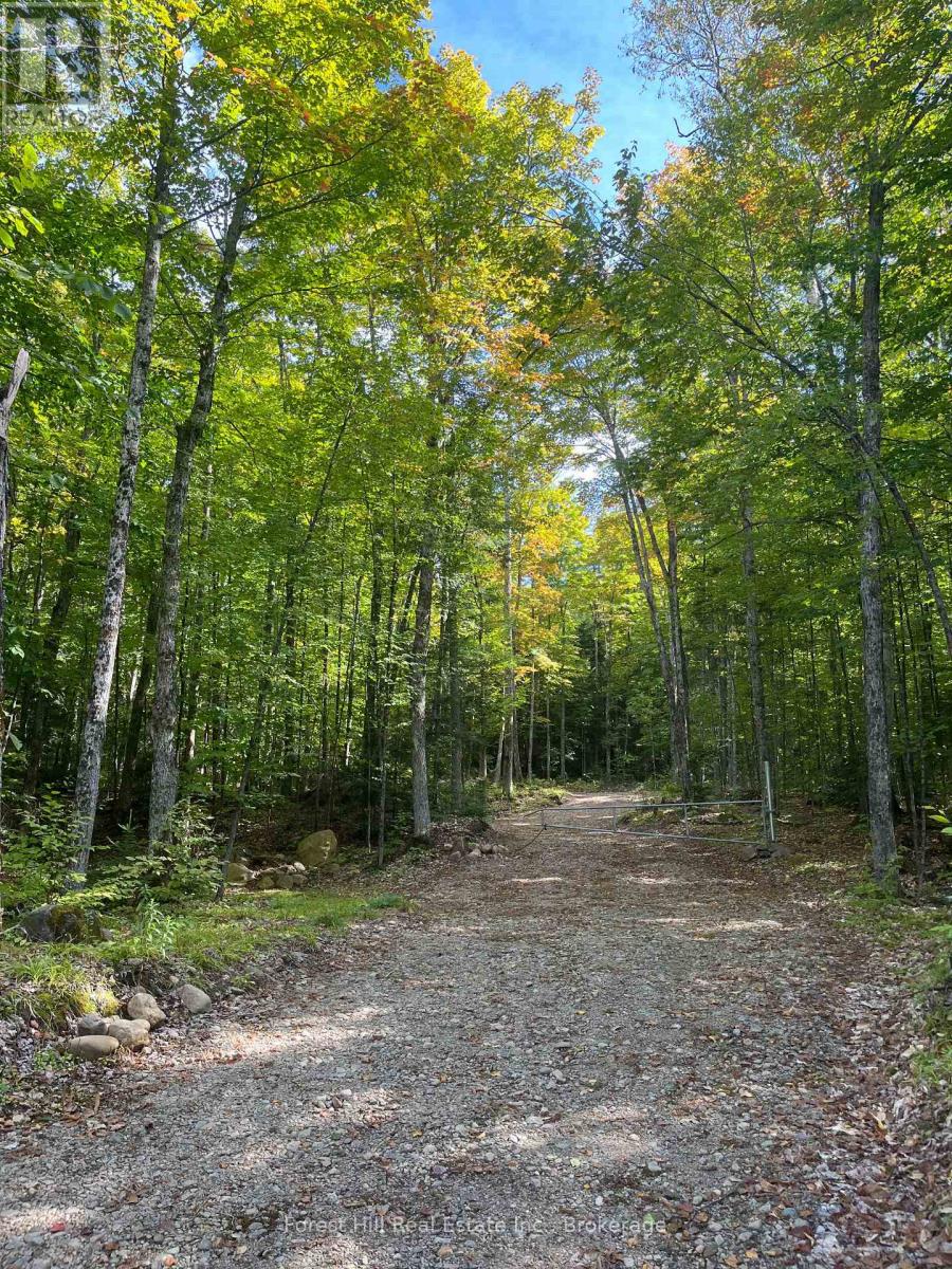 4488 Kawagama Lake Road, Algonquin Highlands (Sherborne), Ontario  P0A 1E0 - Photo 11 - X12458715