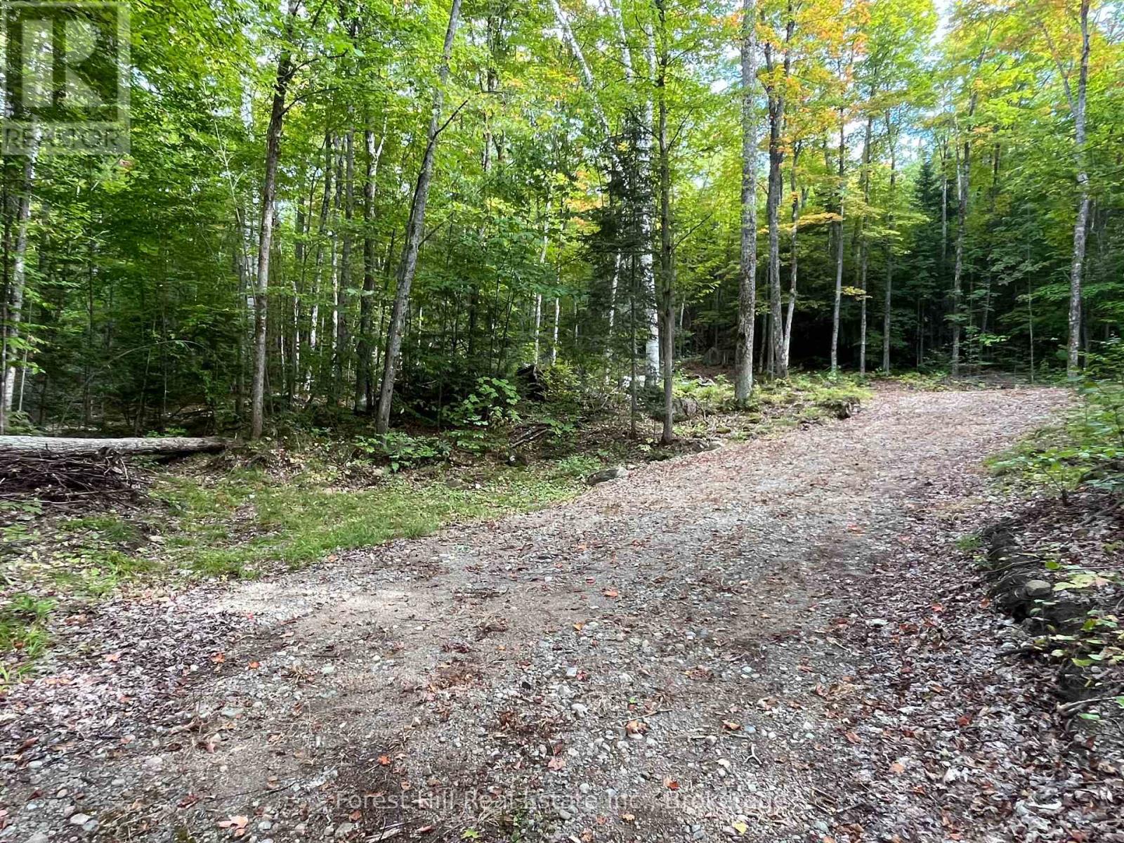 4488 Kawagama Lake Road, Algonquin Highlands (Sherborne), Ontario  P0A 1E0 - Photo 12 - X12458715
