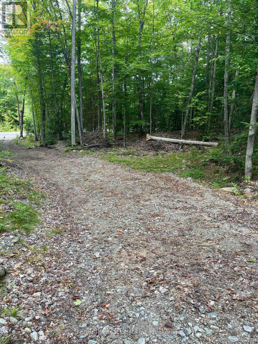 4488 Kawagama Lake Road, Algonquin Highlands (Sherborne), Ontario  P0A 1E0 - Photo 13 - X12458715