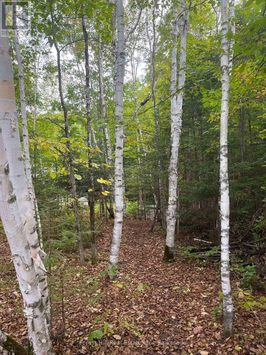 4488 Kawagama Lake Road, Algonquin Highlands (Sherborne), Ontario  P0A 1E0 - Photo 16 - X12458715
