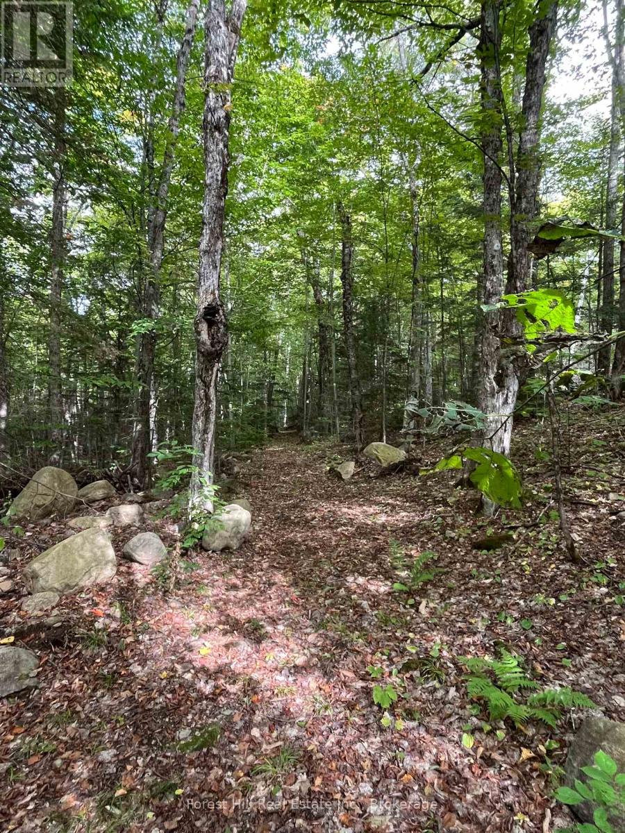 4488 Kawagama Lake Road, Algonquin Highlands (Sherborne), Ontario  P0A 1E0 - Photo 17 - X12458715