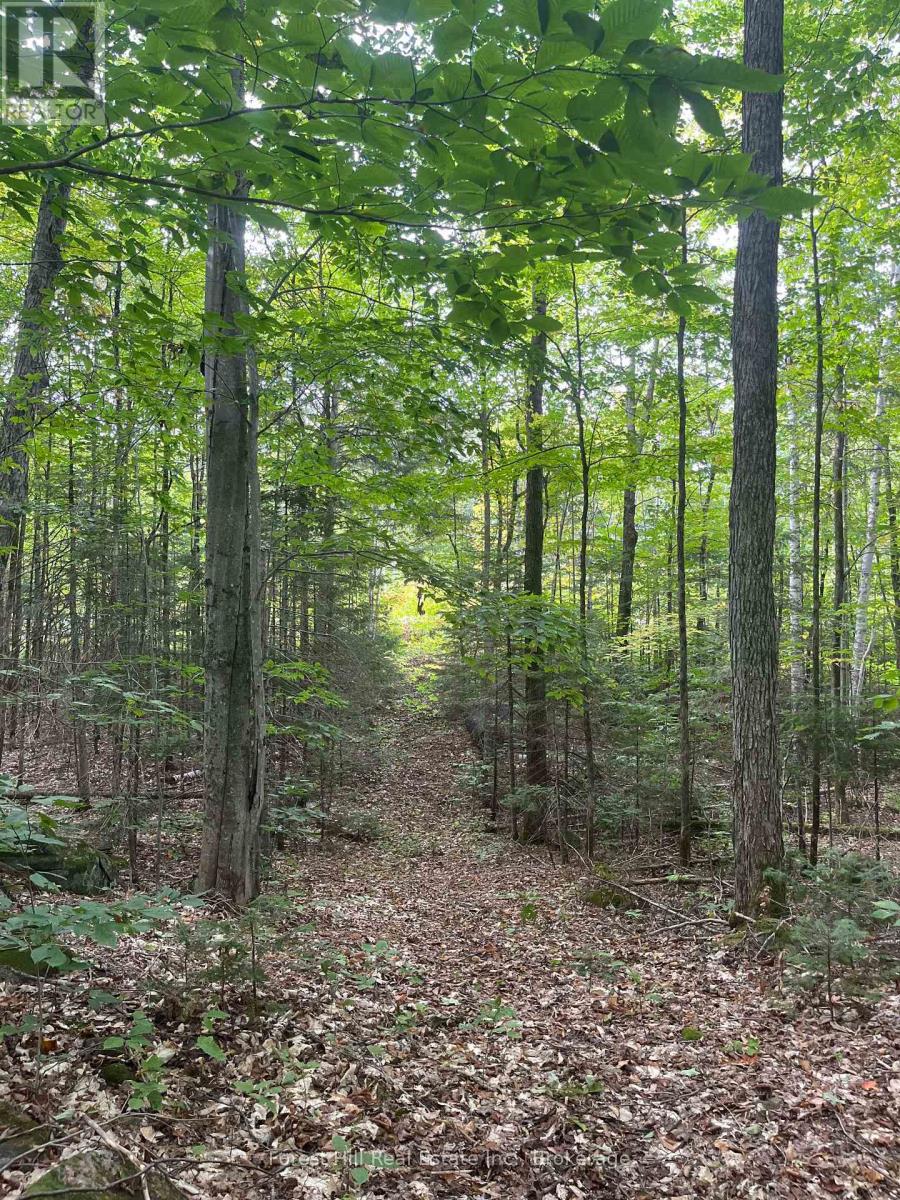 4488 Kawagama Lake Road, Algonquin Highlands (Sherborne), Ontario  P0A 1E0 - Photo 19 - X12458715