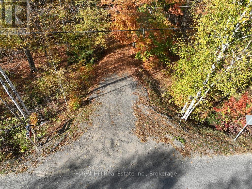 4488 Kawagama Lake Road, Algonquin Highlands (Sherborne), Ontario  P0A 1E0 - Photo 2 - X12458715