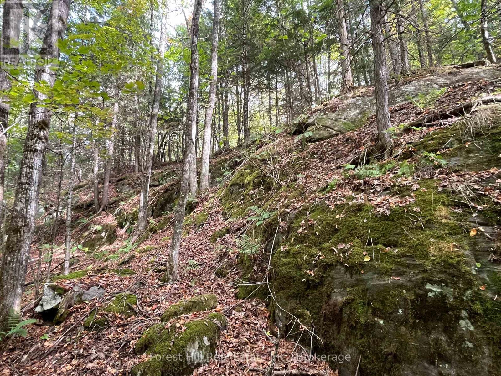 4488 Kawagama Lake Road, Algonquin Highlands (Sherborne), Ontario  P0A 1E0 - Photo 20 - X12458715