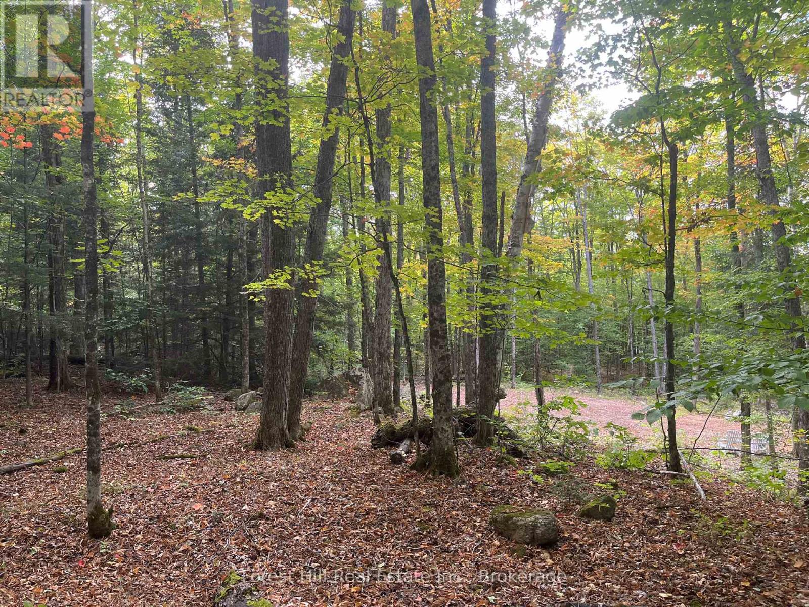 4488 Kawagama Lake Road, Algonquin Highlands (Sherborne), Ontario  P0A 1E0 - Photo 21 - X12458715