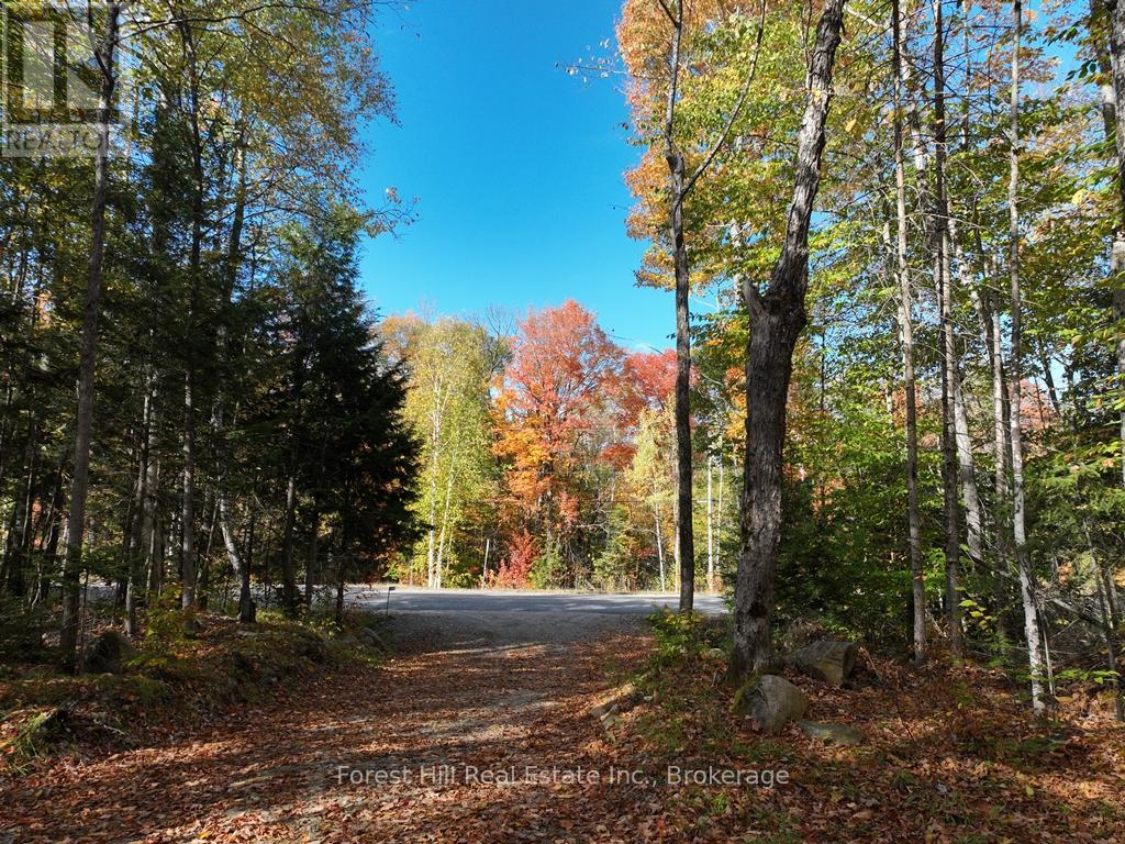 4488 Kawagama Lake Road, Algonquin Highlands (Sherborne), Ontario  P0A 1E0 - Photo 22 - X12458715