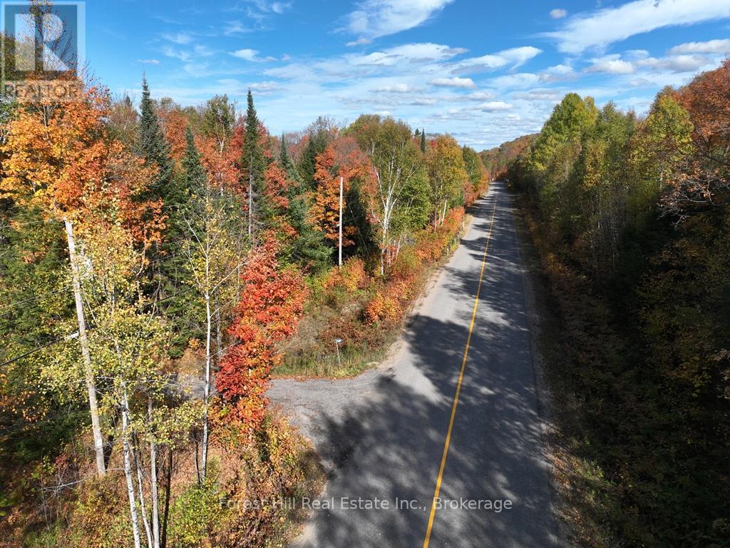 4488 Kawagama Lake Road, Algonquin Highlands (Sherborne), Ontario  P0A 1E0 - Photo 23 - X12458715