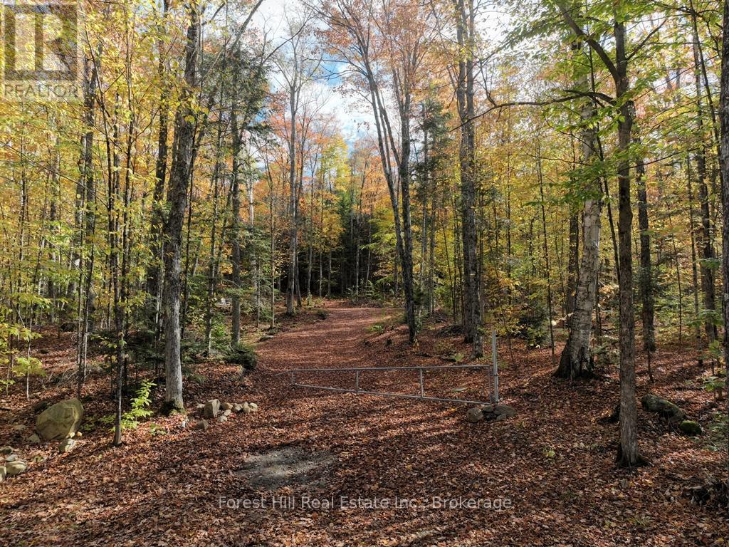 4488 Kawagama Lake Road, Algonquin Highlands (Sherborne), Ontario  P0A 1E0 - Photo 31 - X12458715