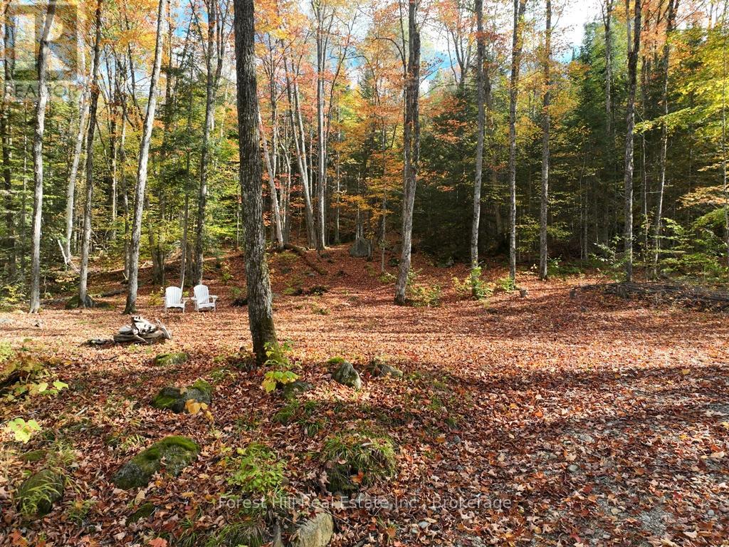 4488 Kawagama Lake Road, Algonquin Highlands (Sherborne), Ontario  P0A 1E0 - Photo 34 - X12458715