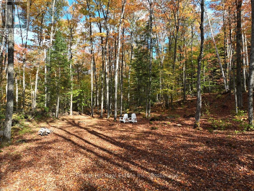 4488 Kawagama Lake Road, Algonquin Highlands (Sherborne), Ontario  P0A 1E0 - Photo 36 - X12458715