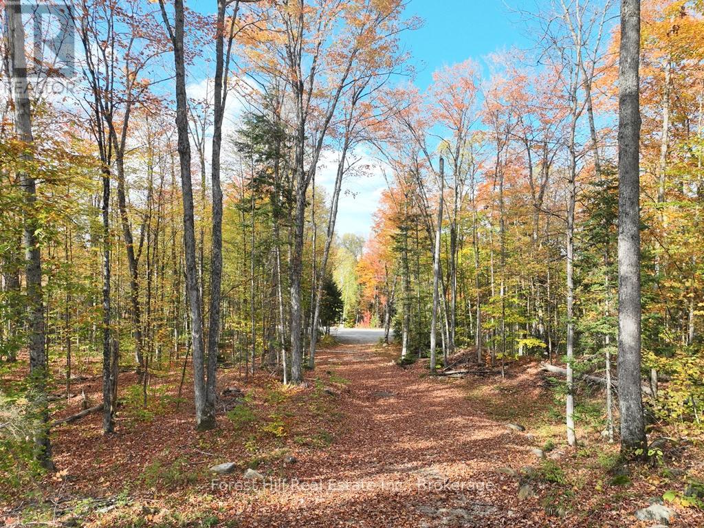 4488 Kawagama Lake Road, Algonquin Highlands (Sherborne), Ontario  P0A 1E0 - Photo 38 - X12458715