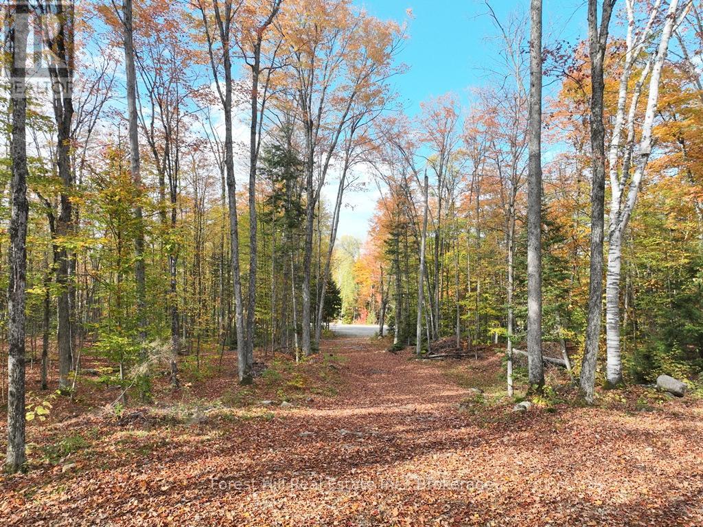 4488 Kawagama Lake Road, Algonquin Highlands (Sherborne), Ontario  P0A 1E0 - Photo 4 - X12458715