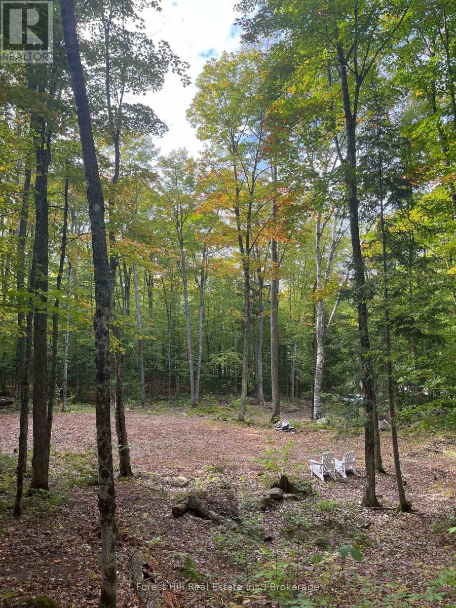 4488 Kawagama Lake Road, Algonquin Highlands (Sherborne), Ontario  P0A 1E0 - Photo 9 - X12458715