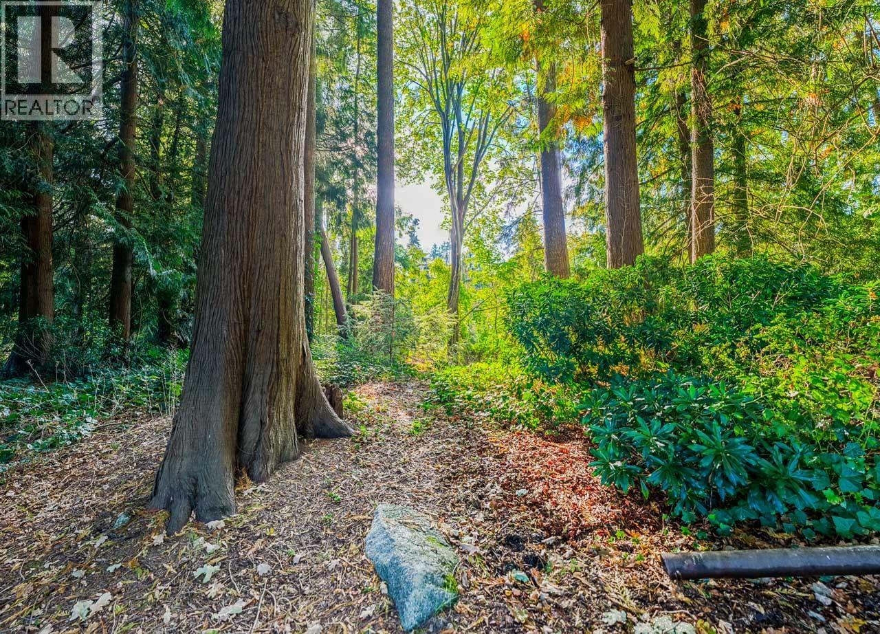 8061 Mcgregor Avenue, Burnaby, British Columbia  V5J 4H7 - Photo 11 - R3056802