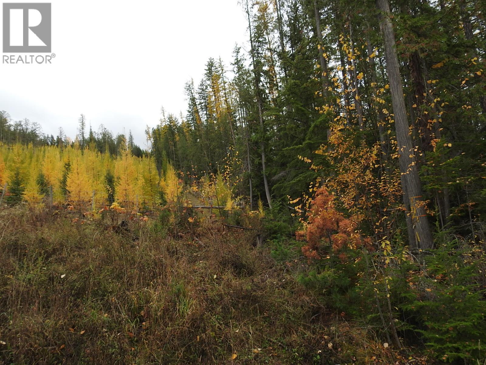 144 Acres South Fork Road, Cherryville, British Columbia  V0E 2G3 - Photo 2 - 10339844