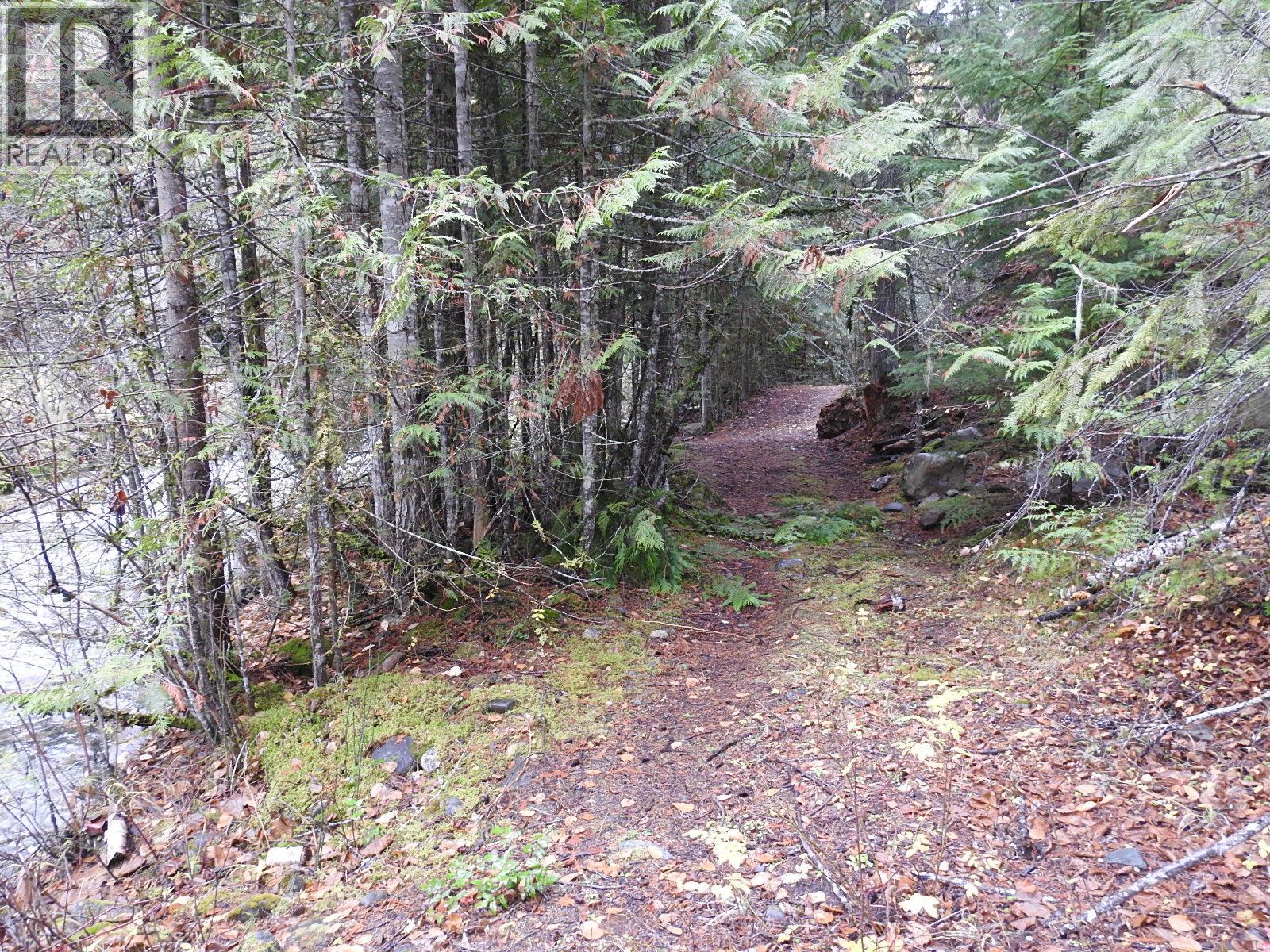 144 Acres South Fork Road, Cherryville, British Columbia  V0E 2G3 - Photo 23 - 10339844