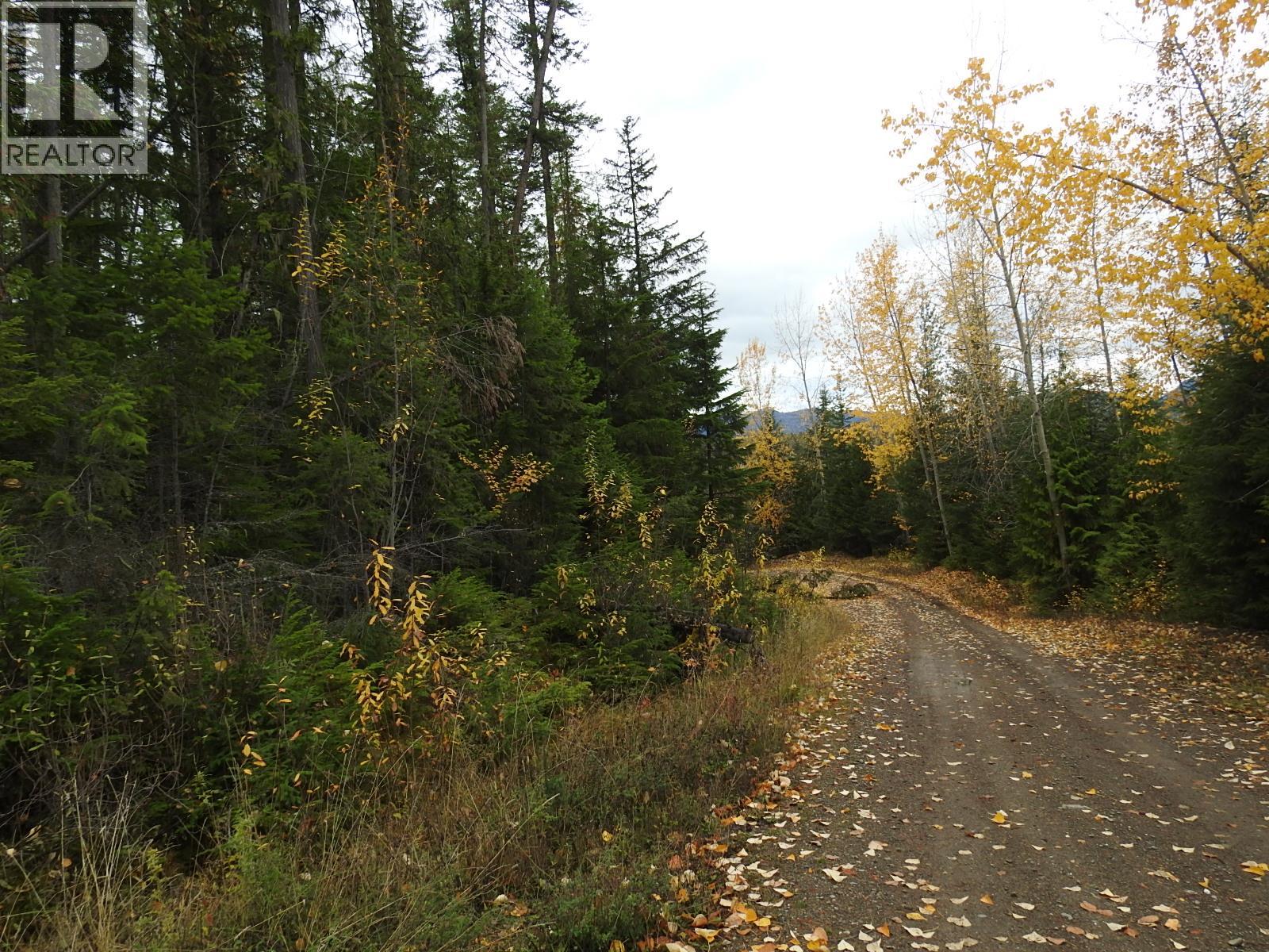 144 Acres South Fork Road, Cherryville, British Columbia  V0E 2G3 - Photo 3 - 10339844