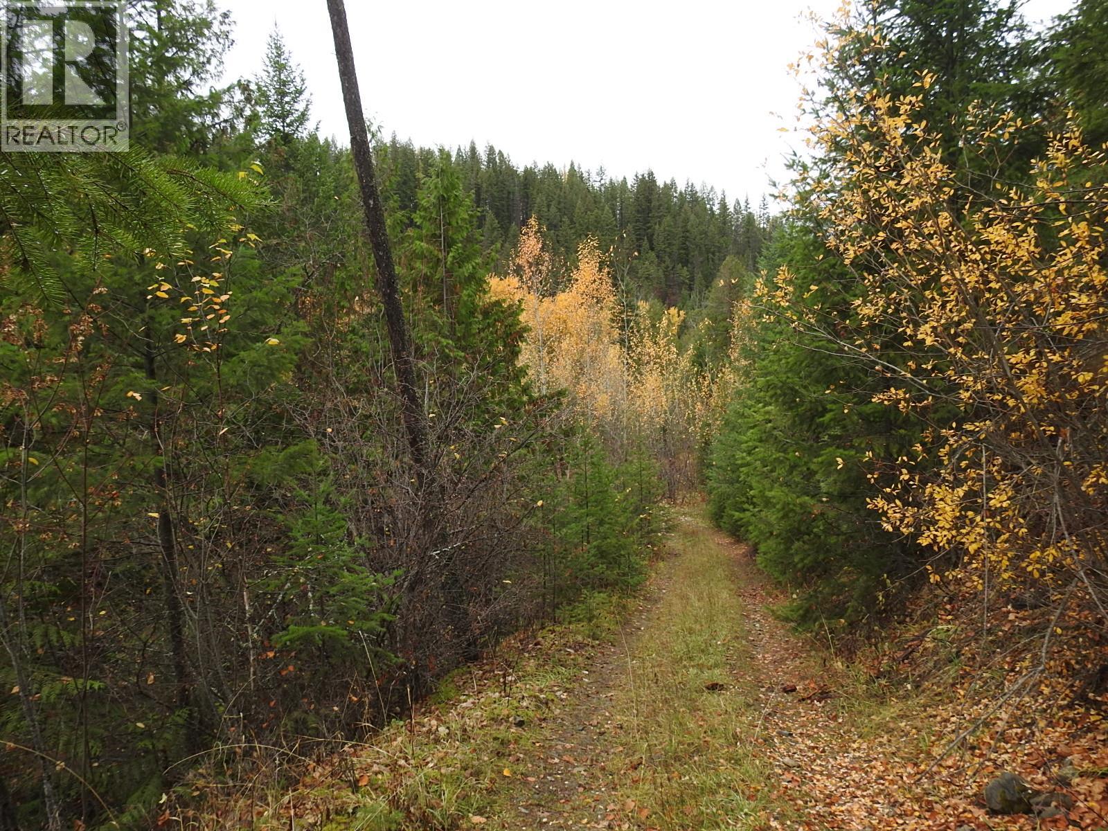 144 Acres South Fork Road, Cherryville, British Columbia  V0E 2G3 - Photo 29 - 10339844