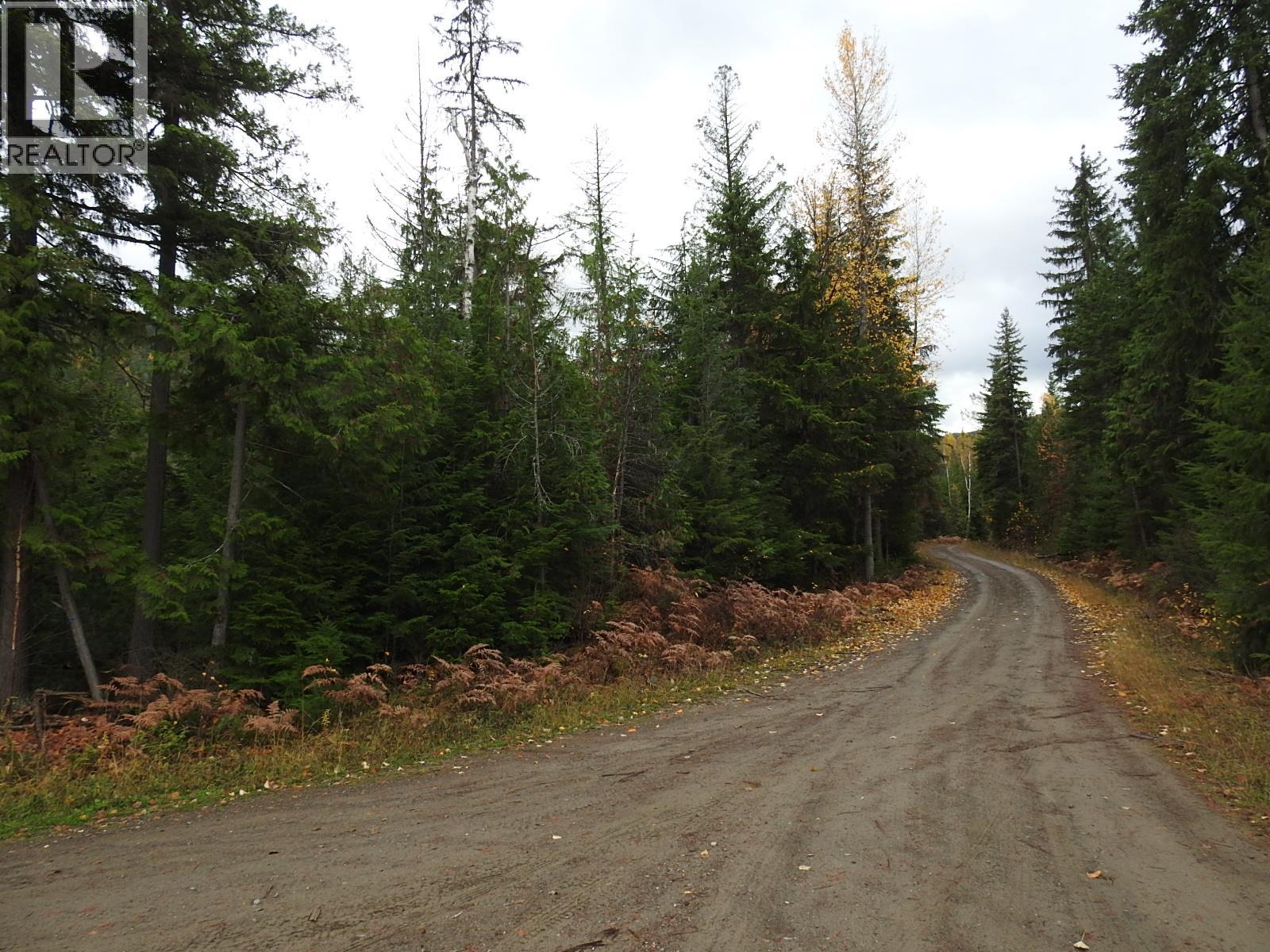 144 Acres South Fork Road, Cherryville, British Columbia  V0E 2G3 - Photo 5 - 10339844
