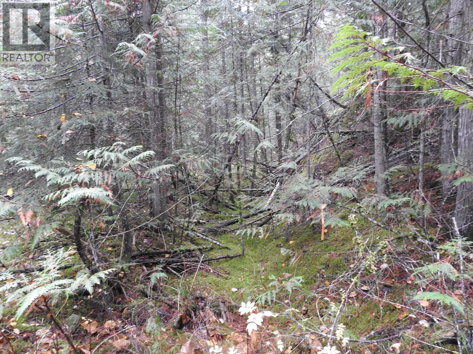 144 Acres South Fork Road, Cherryville, British Columbia  V0E 2G3 - Photo 22 - 10339844