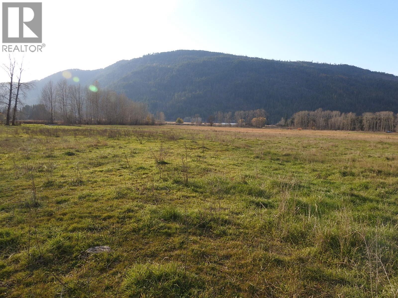 110 Parsons Road, Mara, British Columbia  V0E 2K0 - Photo 16 - 10331336