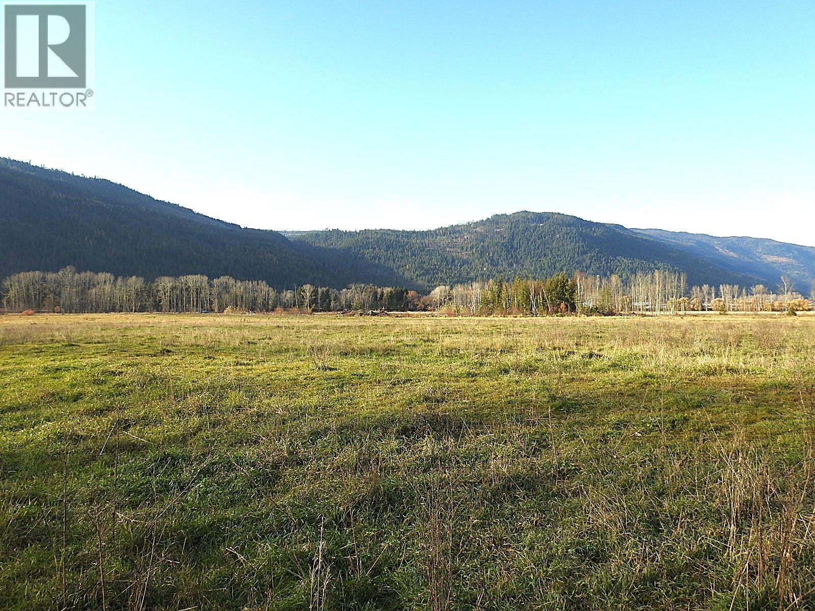 110 Parsons Road, Mara, British Columbia  V0E 2K0 - Photo 19 - 10331336