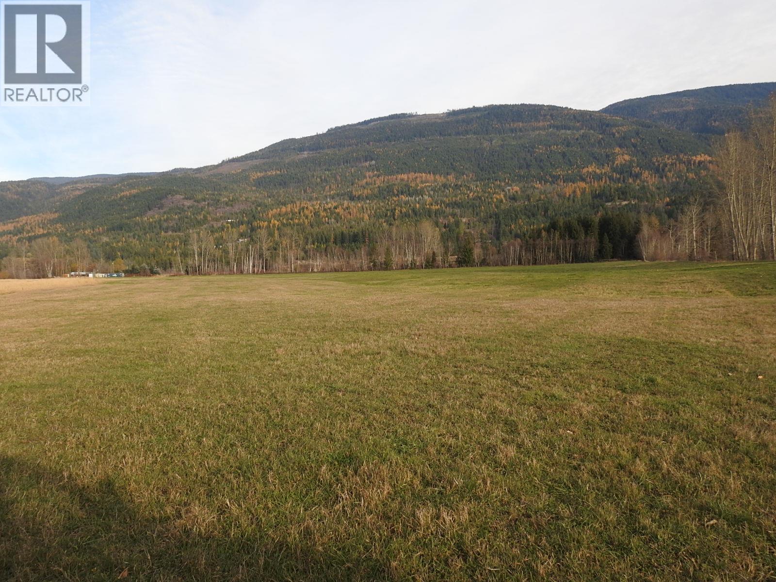 110 Parsons Road, Mara, British Columbia  V0E 2K0 - Photo 10 - 10331336