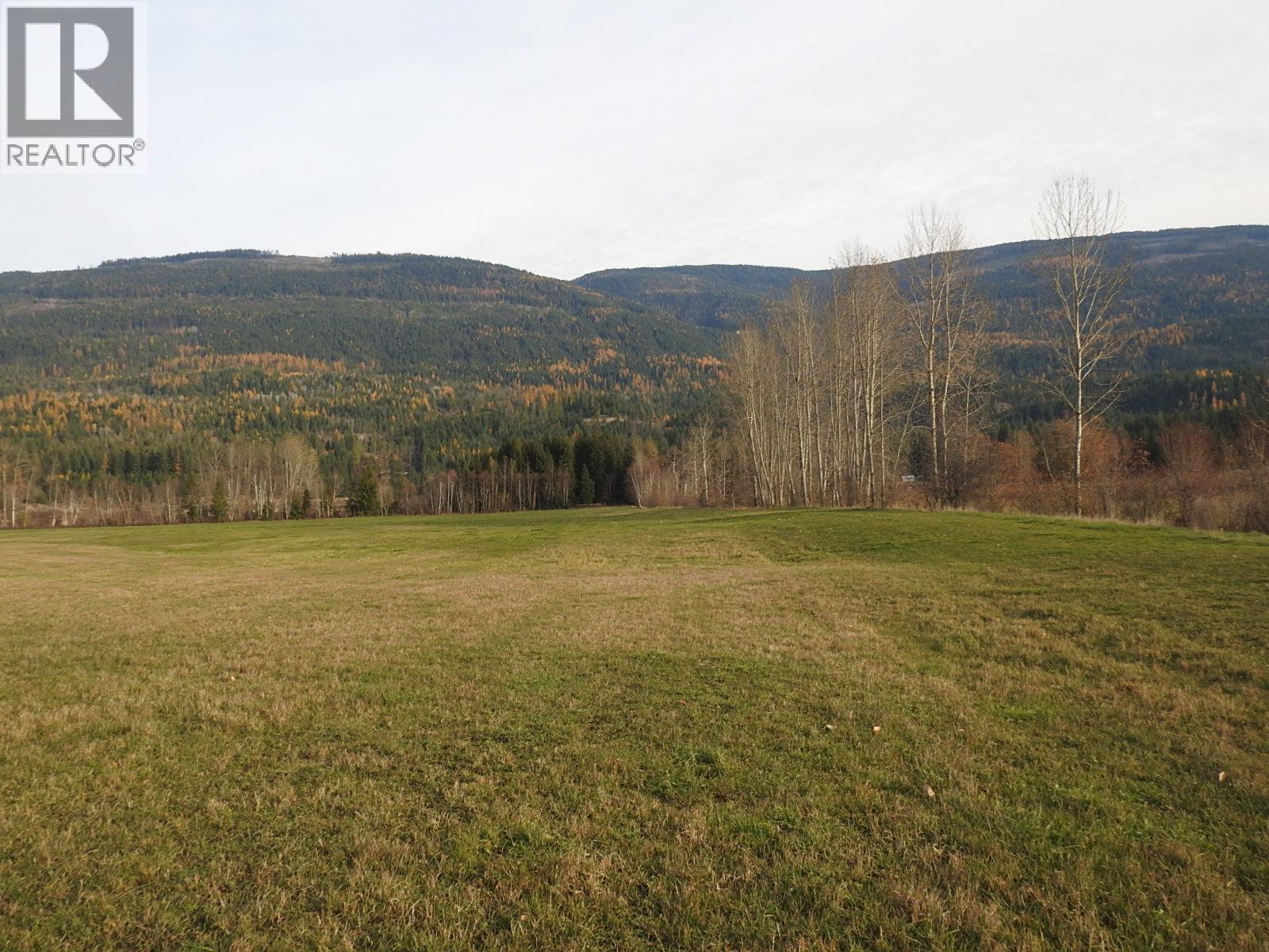 110 Parsons Road, Mara, British Columbia  V0E 2K0 - Photo 11 - 10331336