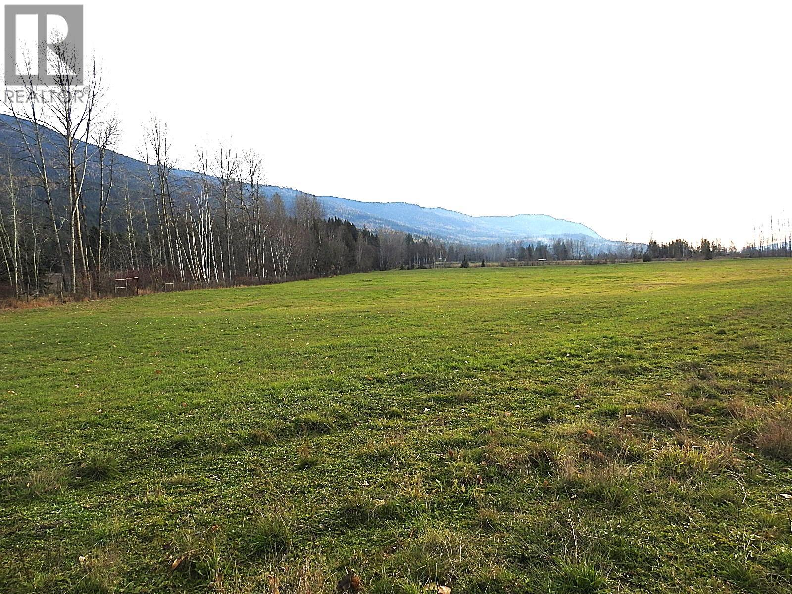 110 Parsons Road, Mara, British Columbia  V0E 2K0 - Photo 9 - 10331336