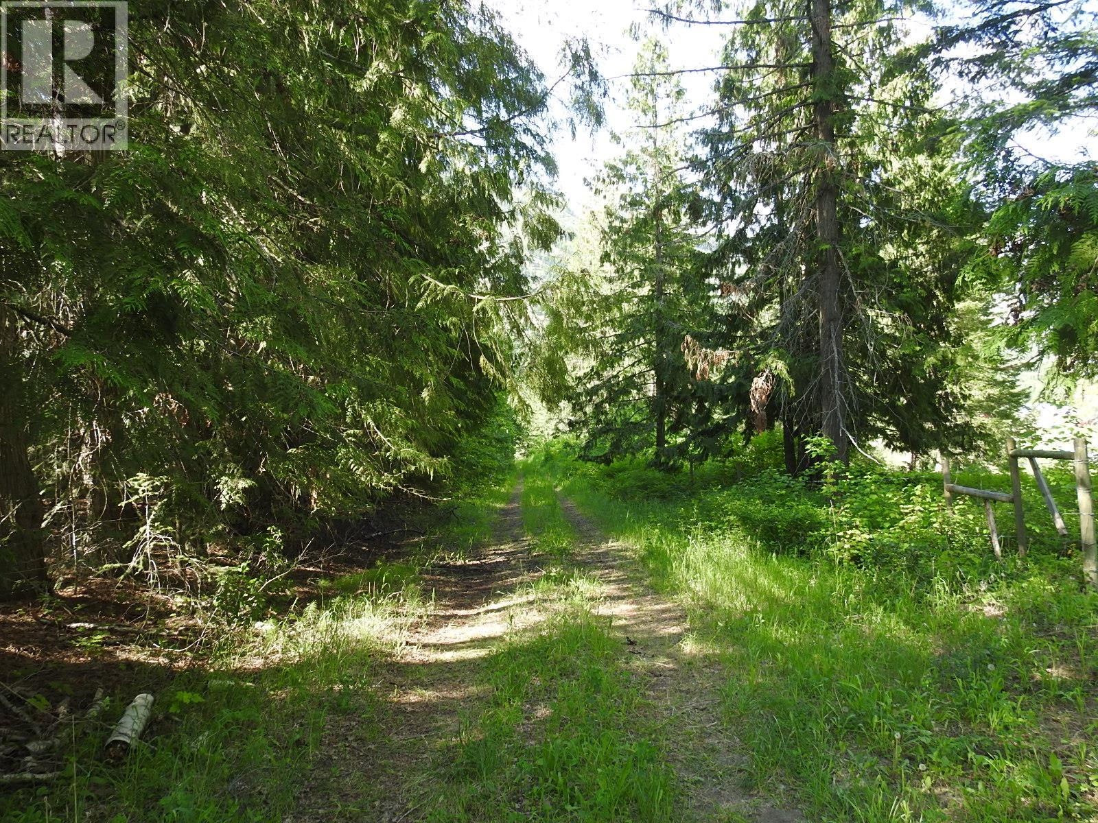 4345 Colebank Road, Falkland, British Columbia  V0E 1W1 - Photo 10 - 10352475