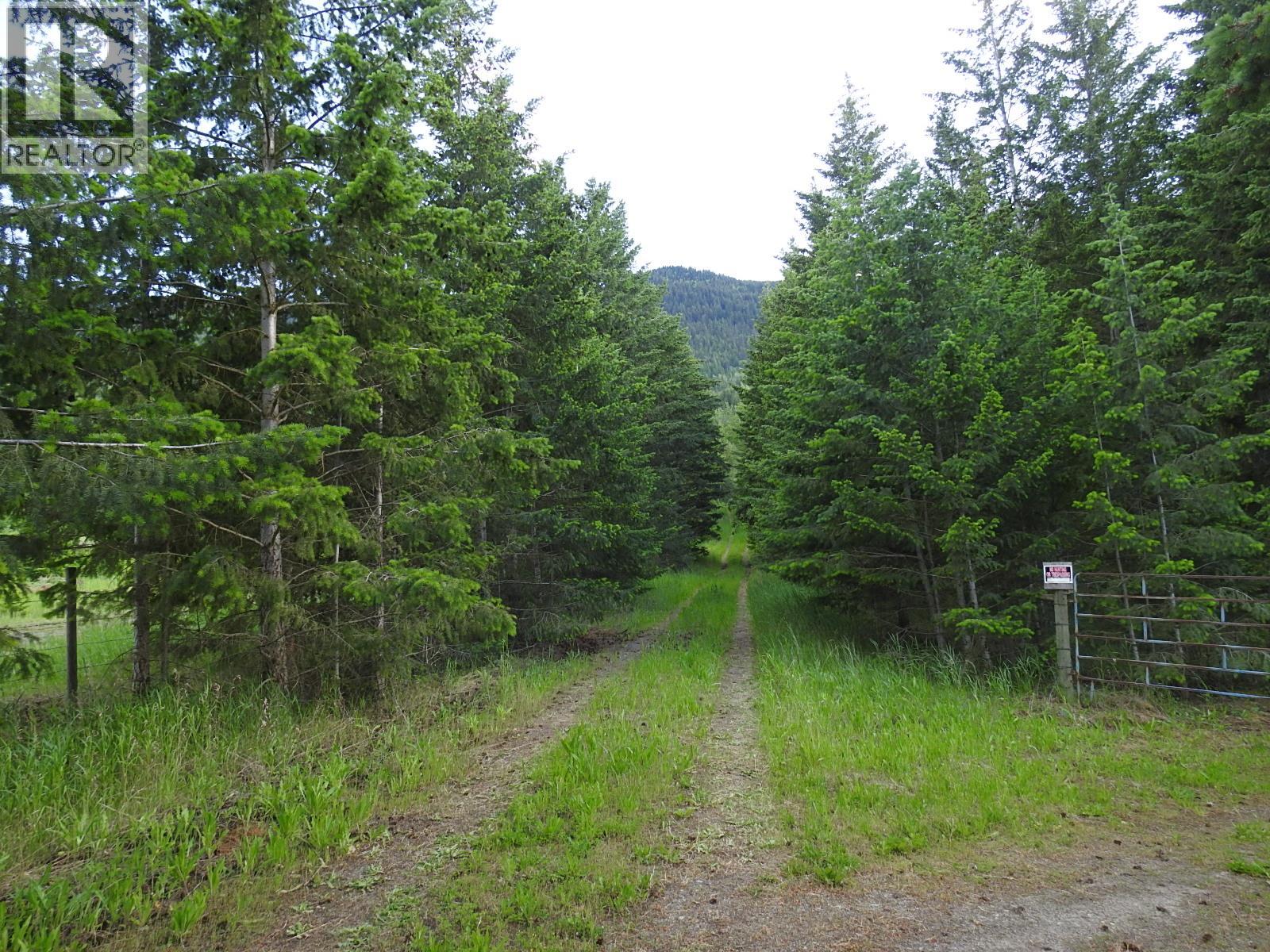 4345 Colebank Road, Falkland, British Columbia  V0E 1W1 - Photo 4 - 10352475