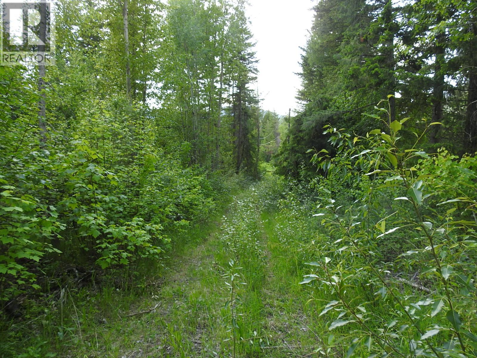4345 Colebank Road, Falkland, British Columbia  V0E 1W1 - Photo 35 - 10352475