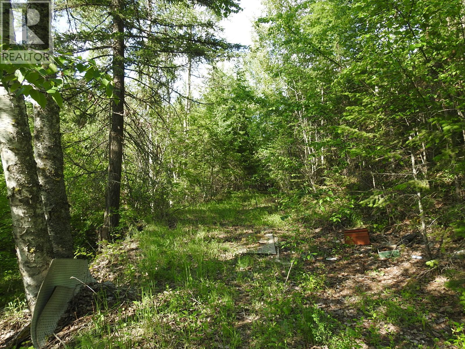 4345 Colebank Road, Falkland, British Columbia  V0E 1W1 - Photo 26 - 10352475