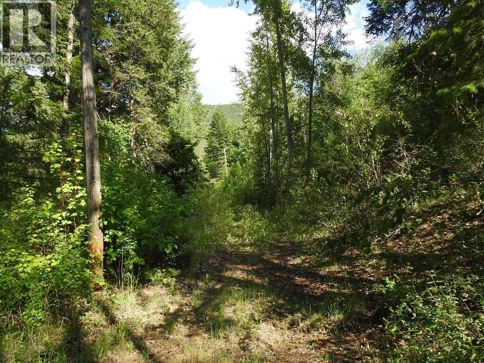 4345 Colebank Road, Falkland, British Columbia  V0E 1W1 - Photo 12 - 10352475
