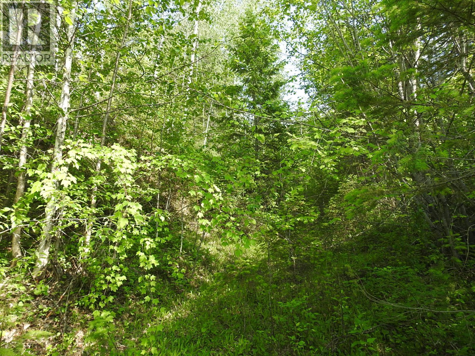4345 Colebank Road, Falkland, British Columbia  V0E 1W1 - Photo 28 - 10352475