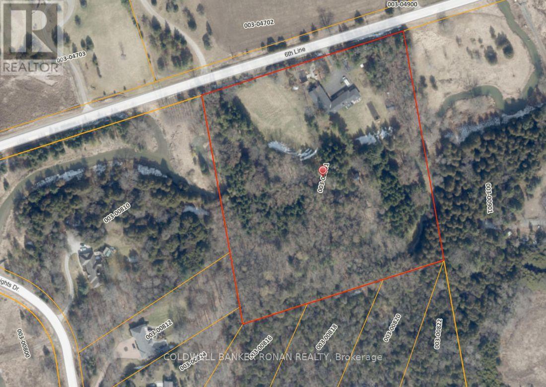 6591 6th Line, New Tecumseth, Ontario  L0G 1W0 - Photo 48 - N12457095