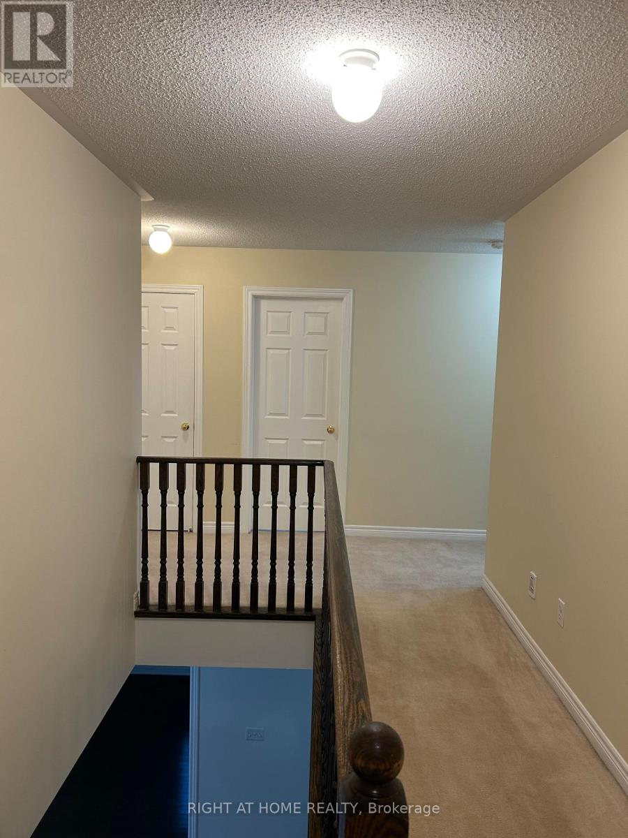 132 Mcknight Avenue, Hamilton, Ontario  L0R 2H7 - Photo 22 - X12458761